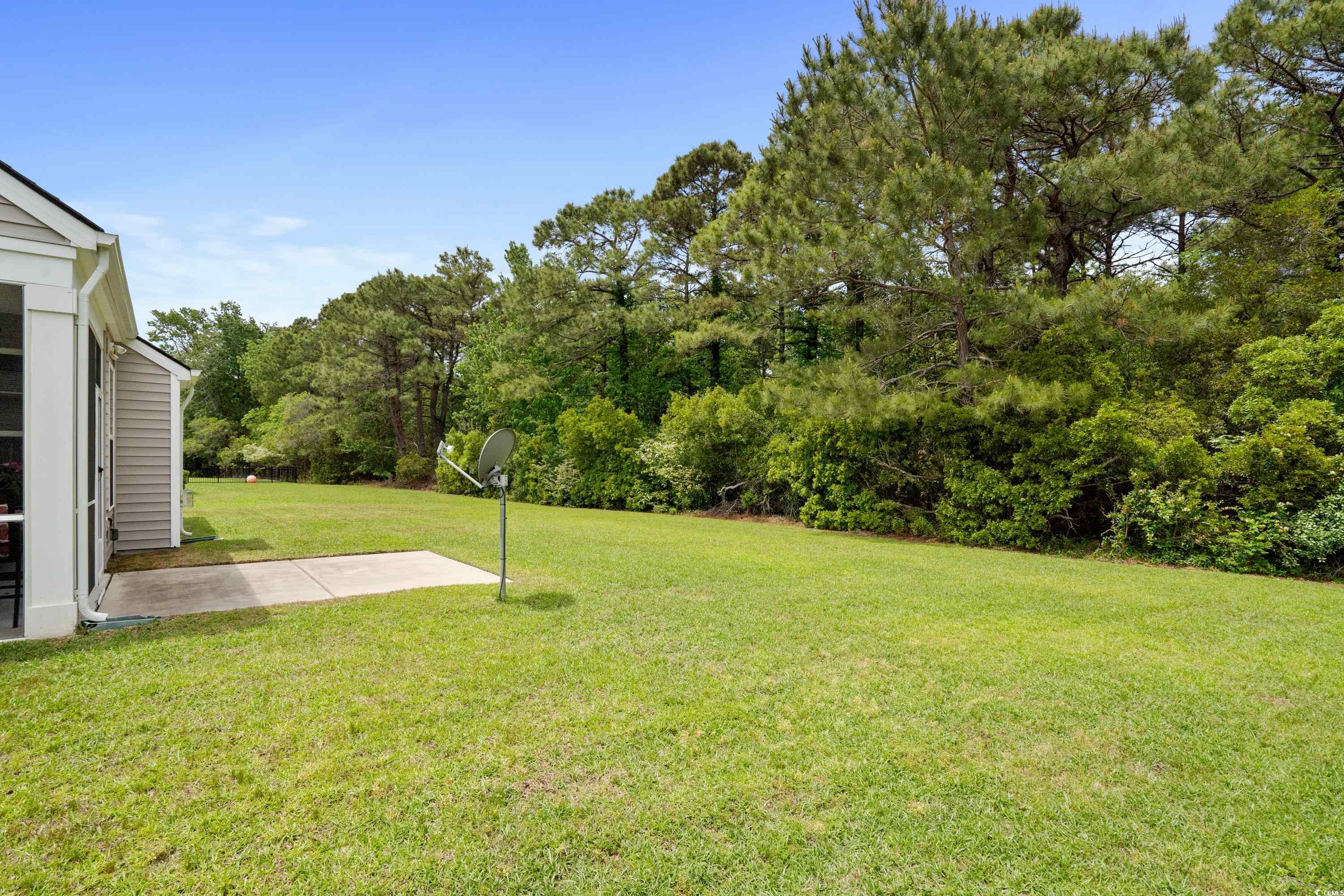 4246 Livorn Loop Myrtle Beach, SC 29579 - Photo 32 of 40 View of yard featuring a patio area