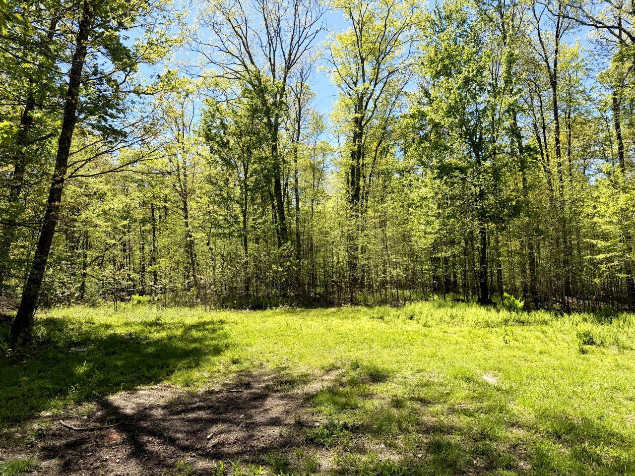 0 Iona Road White Oak, WV 25989 - Photo 35 of 150 Tract-12-IMG_4480