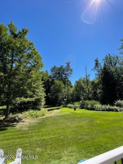 225 Angel Road Corinth, NY 12822 - Photo 63 of 72 IMG_7025