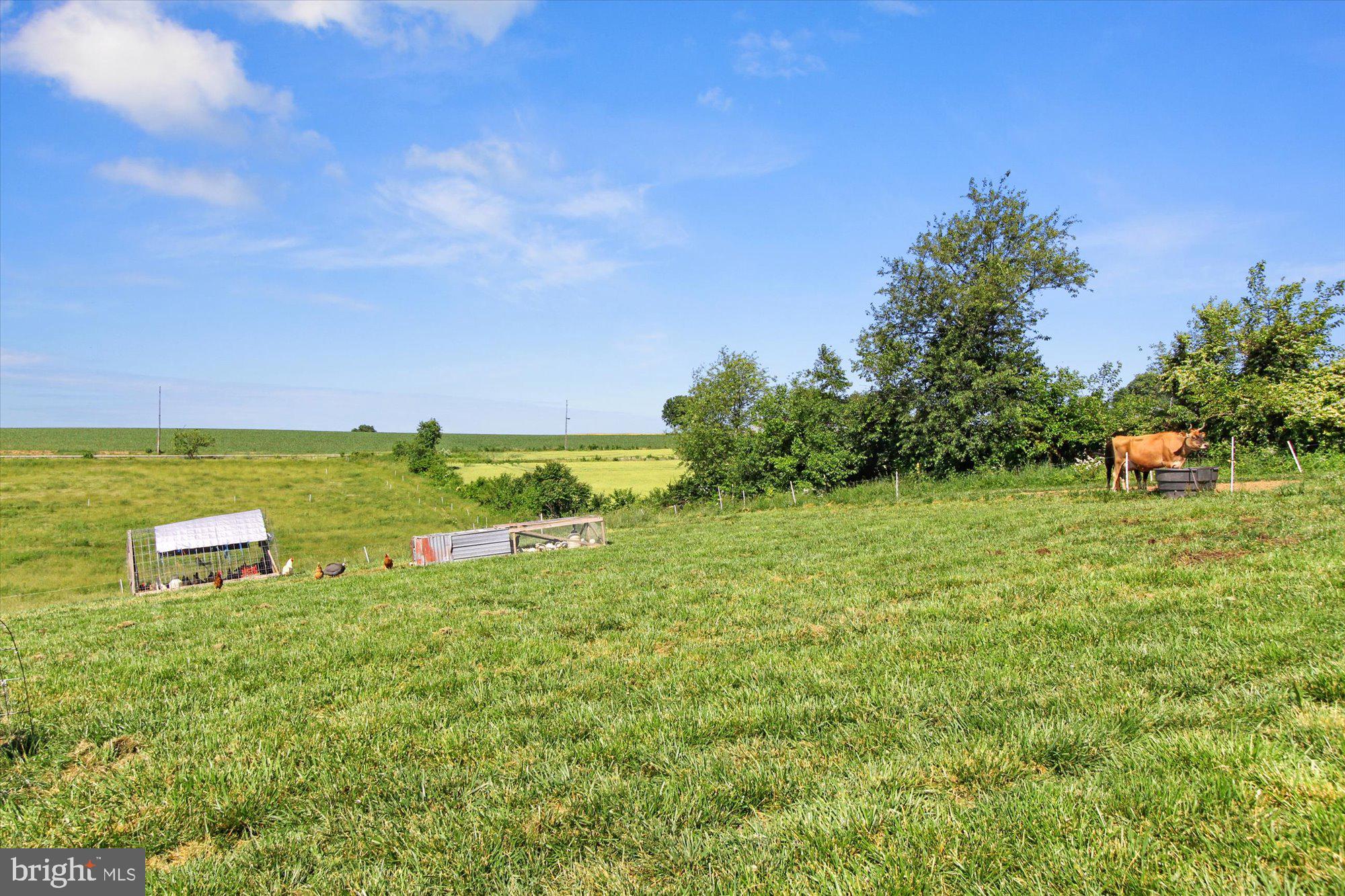 12853 Stamper Road Brogue, PA 17309 - Photo 40 of 53