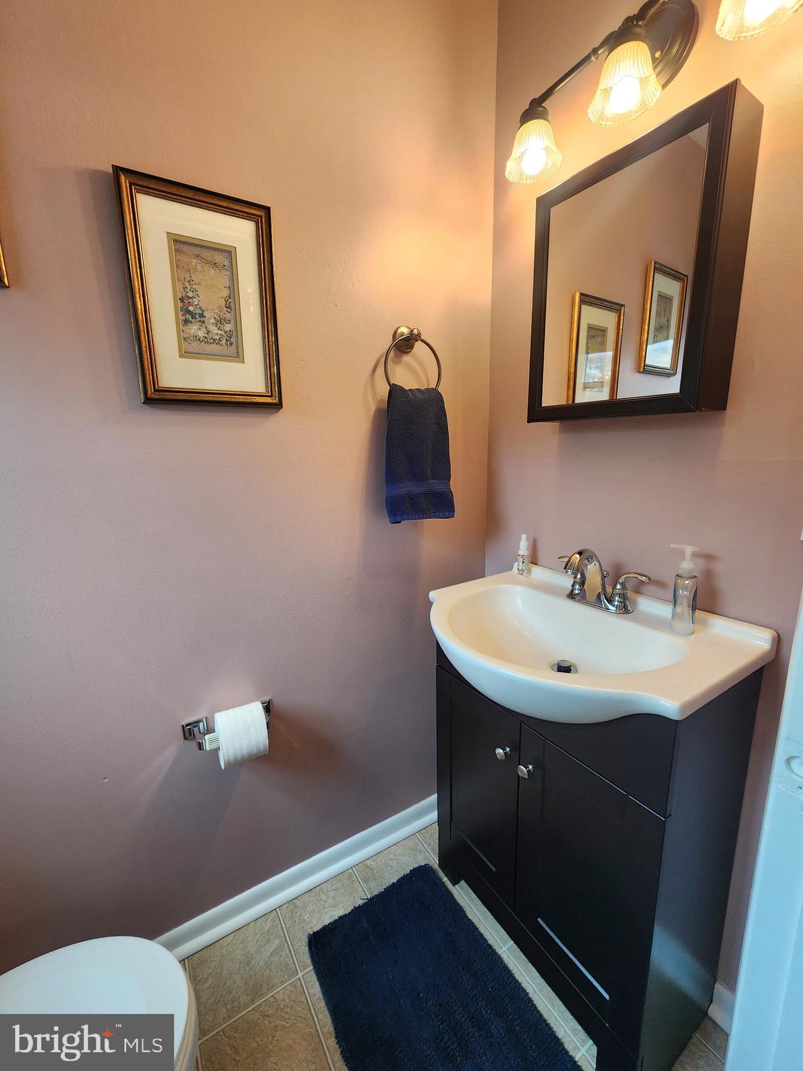 243 Brunswick Road Stephens City, VA 22655 - Photo 11 of 24 Half bath