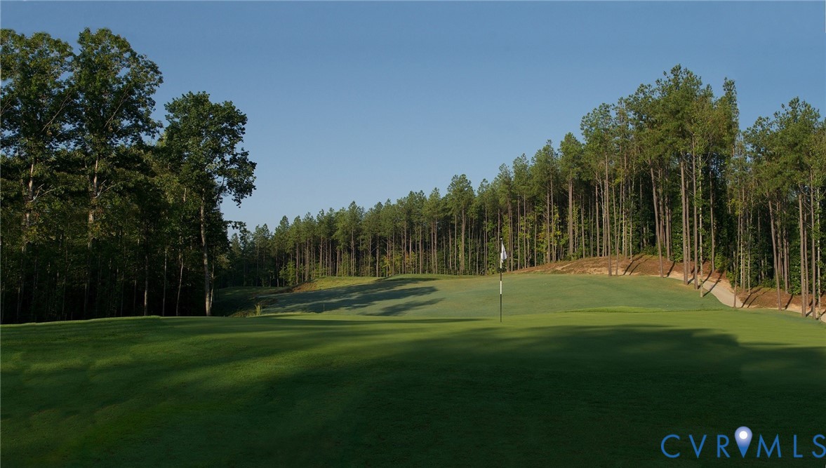 18747 Palisades Ridge Moseley, VA 23120 - Photo 34 of 35