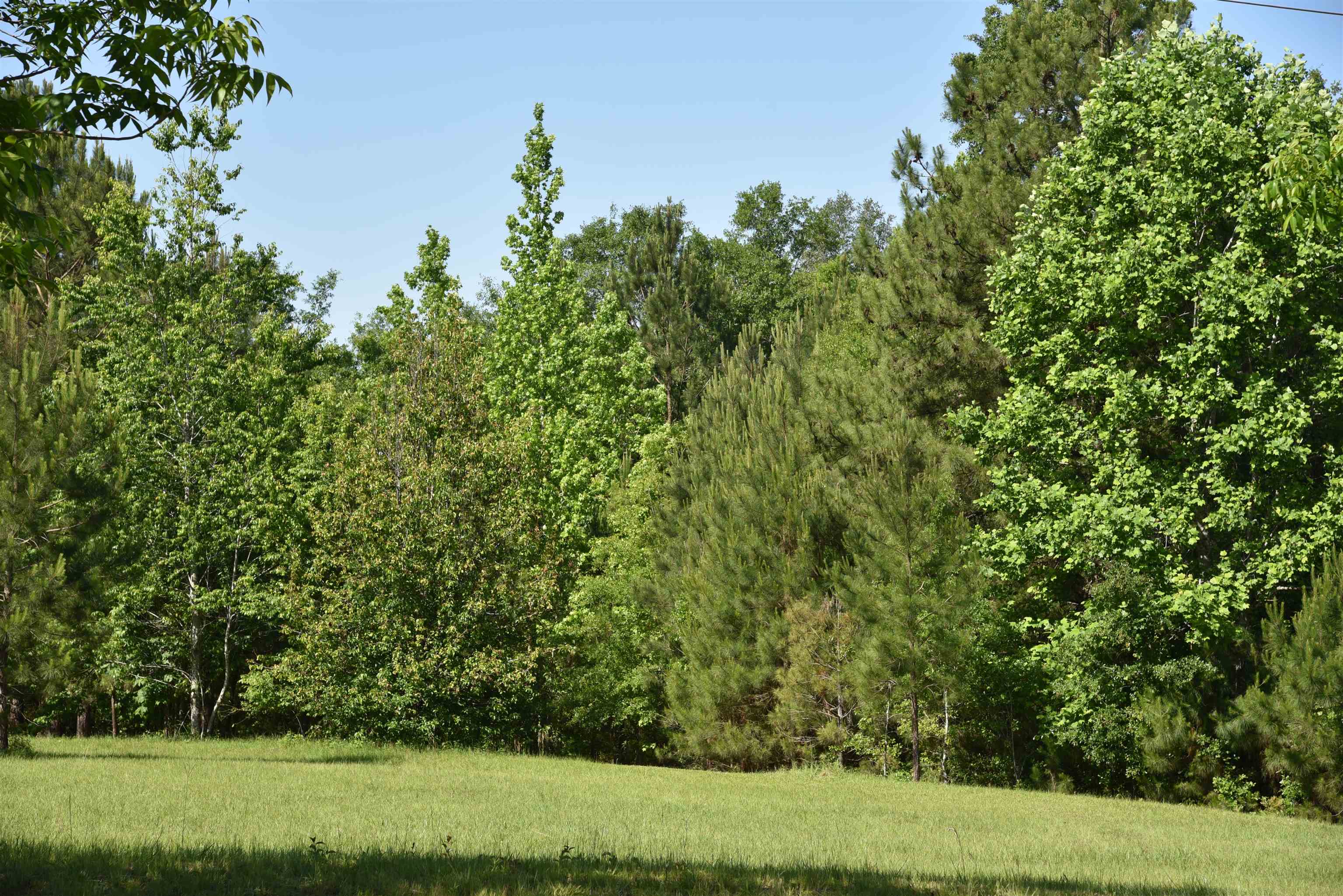 Solomon Dairy Road Quincy, FL 32352 - Photo 19 of 36