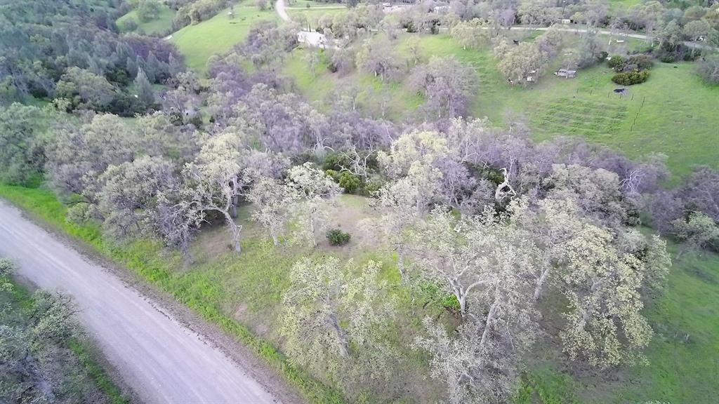 6962 Roundup Drive Corning, CA 96021 - Photo 3 of 9 a view of a garden with a pathway