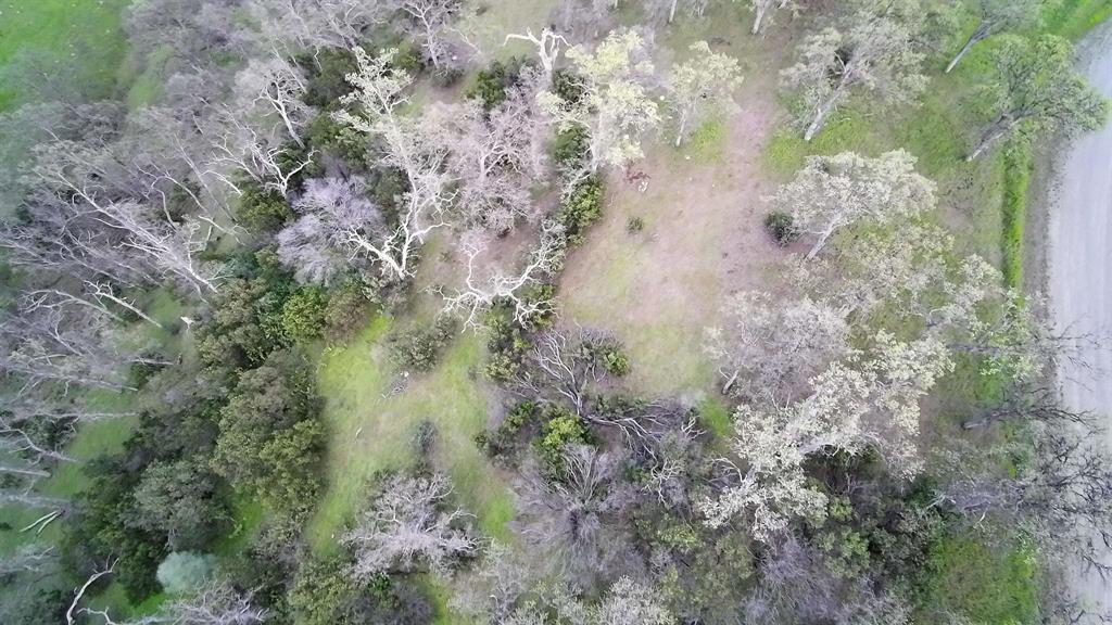 6962 Roundup Drive Corning, CA 96021 - Photo 4 of 9 a view of a yard