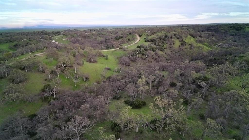 6962 Roundup Drive Corning, CA 96021 - Photo 6 of 9 an aerial view of forest