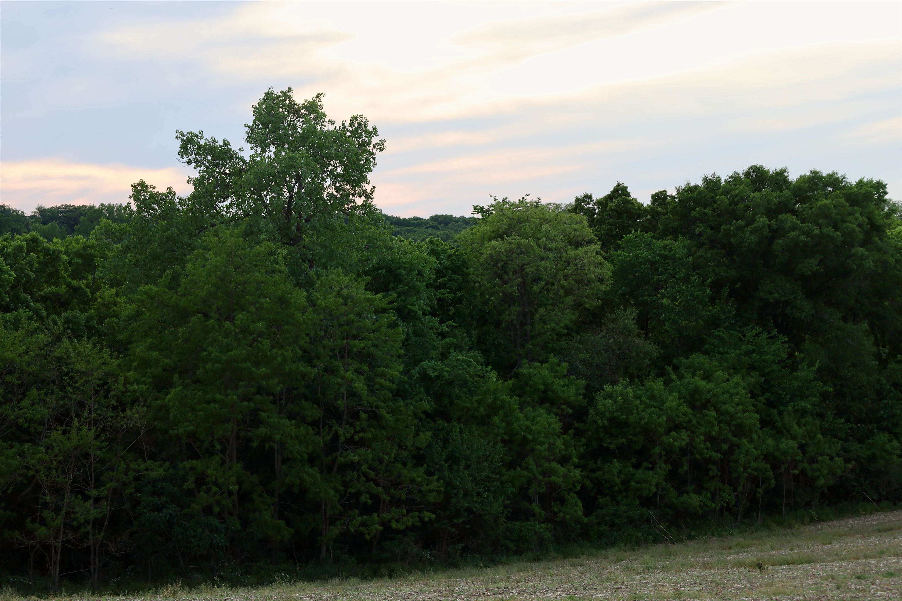 0 County M Boscobel, WI 53805 - Photo 18 of 32