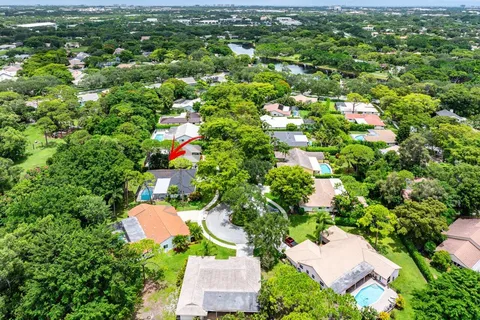 a view of a park with a large tree