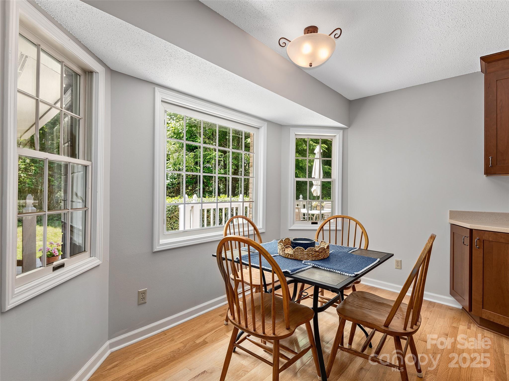 189 Cove Loop Road Hendersonville, NC 28739 - Photo 7 of 27 Gallery Image 7