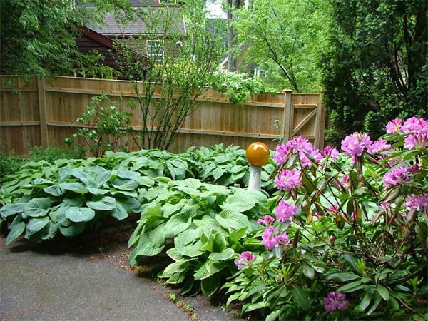 51 Upland Road Brookline, MA 02445 - Photo 11 of 14 a view of a flower in a garden