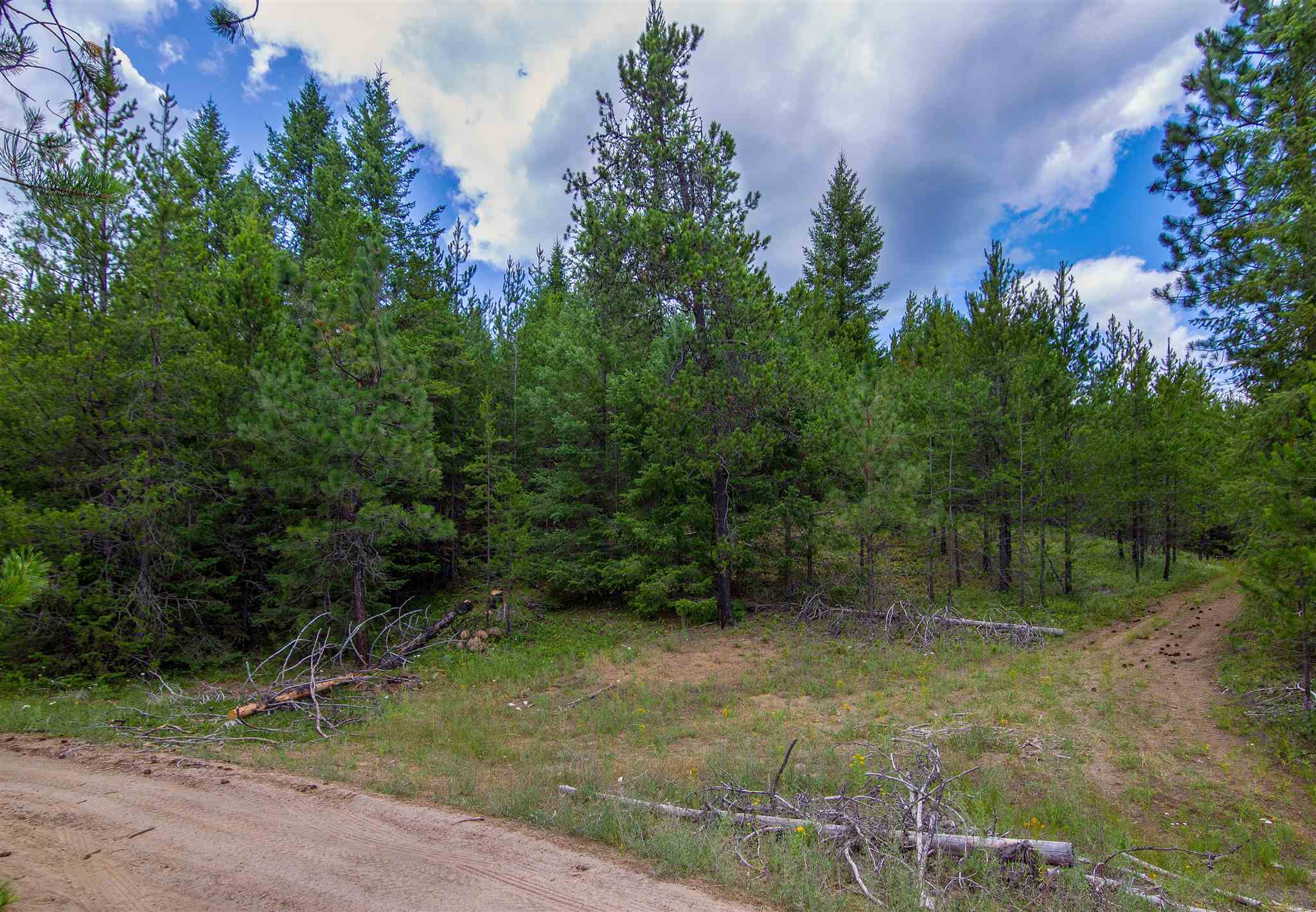 0 Pine Road Newport, WA 99156 - Photo 10 of 11 Gallery Image 10