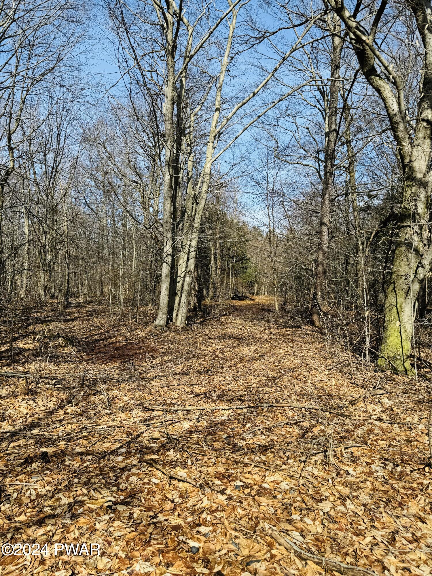 Lot 3 Clark Road Thompson, PA 18465 - Photo 6 of 11