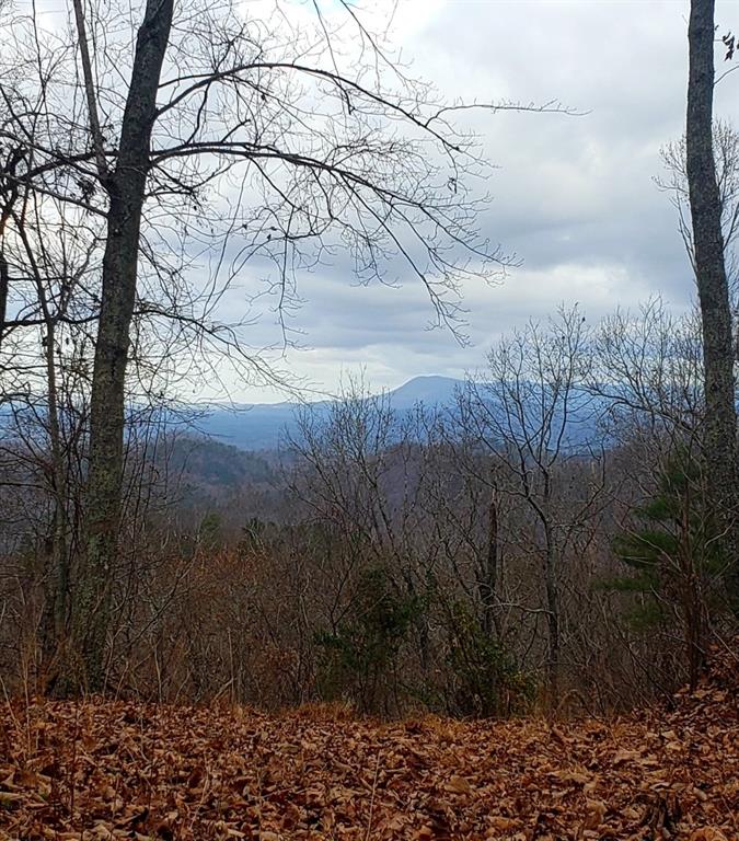 1009 North Cut Drive Ranger, GA 30734 - Photo 6 of 15