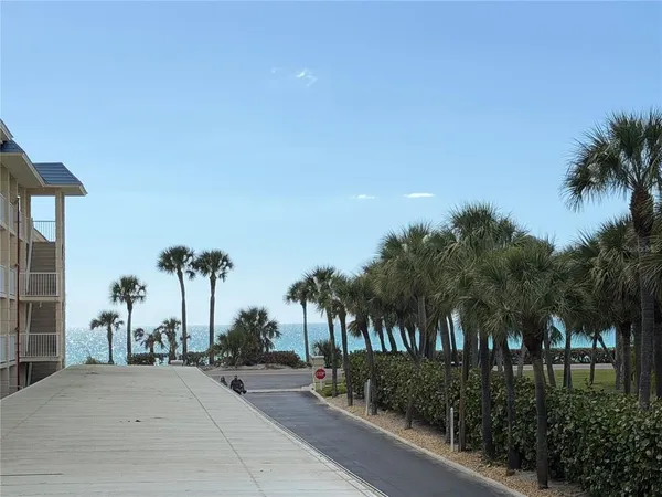 a view of a park with palm trees
