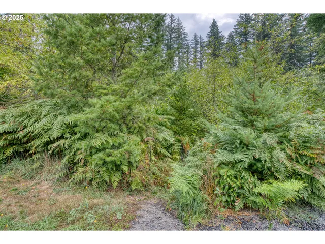 $640,000 | 202 Edgewater Drive, Carson, WA 98610