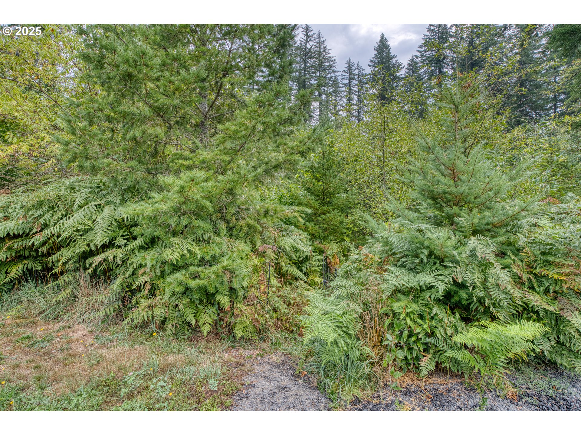 202 Edgewater Drive Carson, WA 98610 - Photo 32 of 48