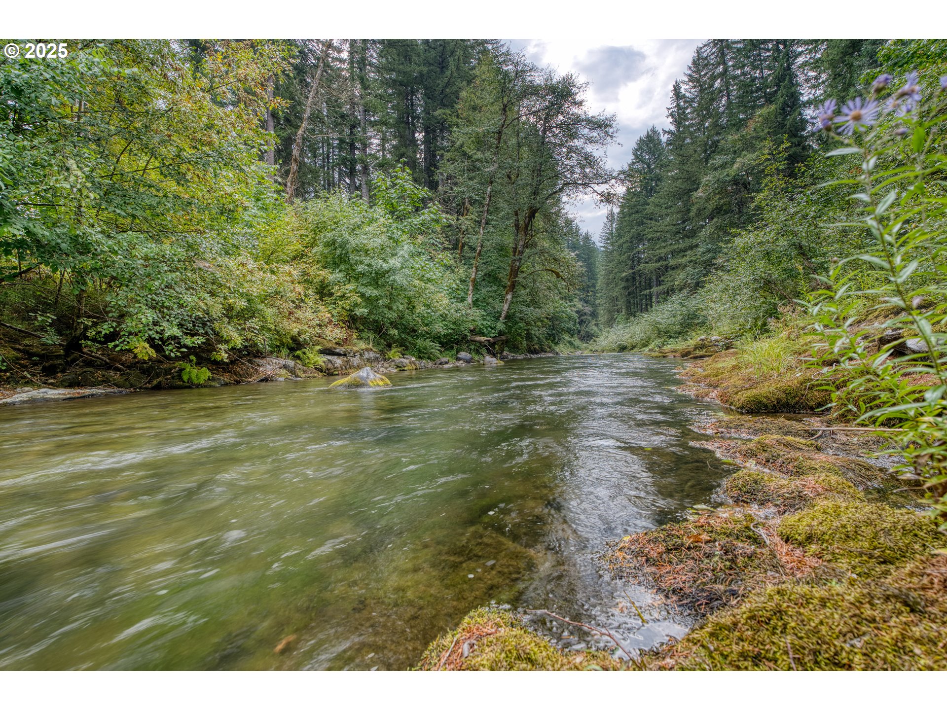 202 Edgewater Drive Carson, WA 98610 - Photo 33 of 48