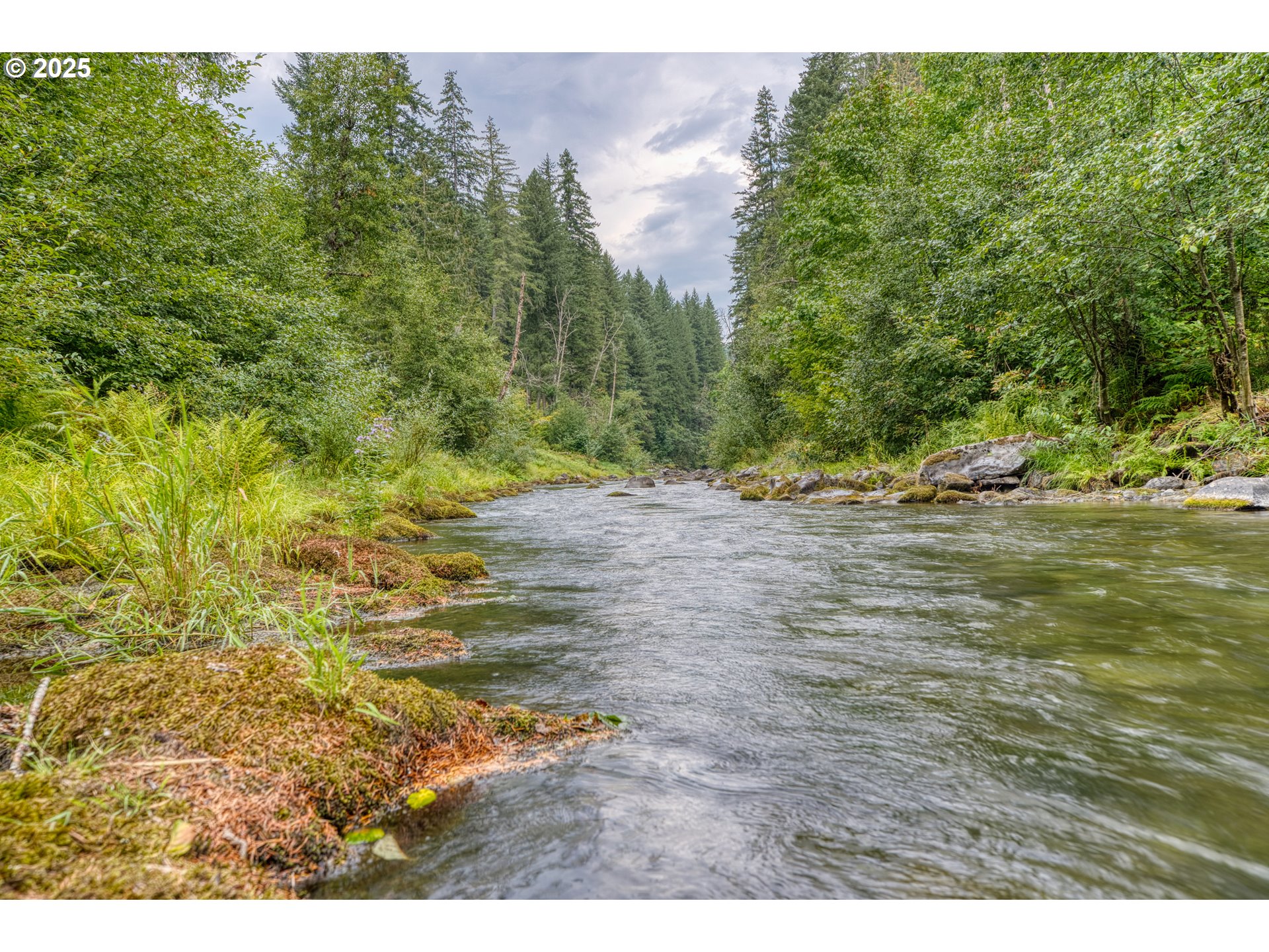 202 Edgewater Drive Carson, WA 98610 - Photo 34 of 48