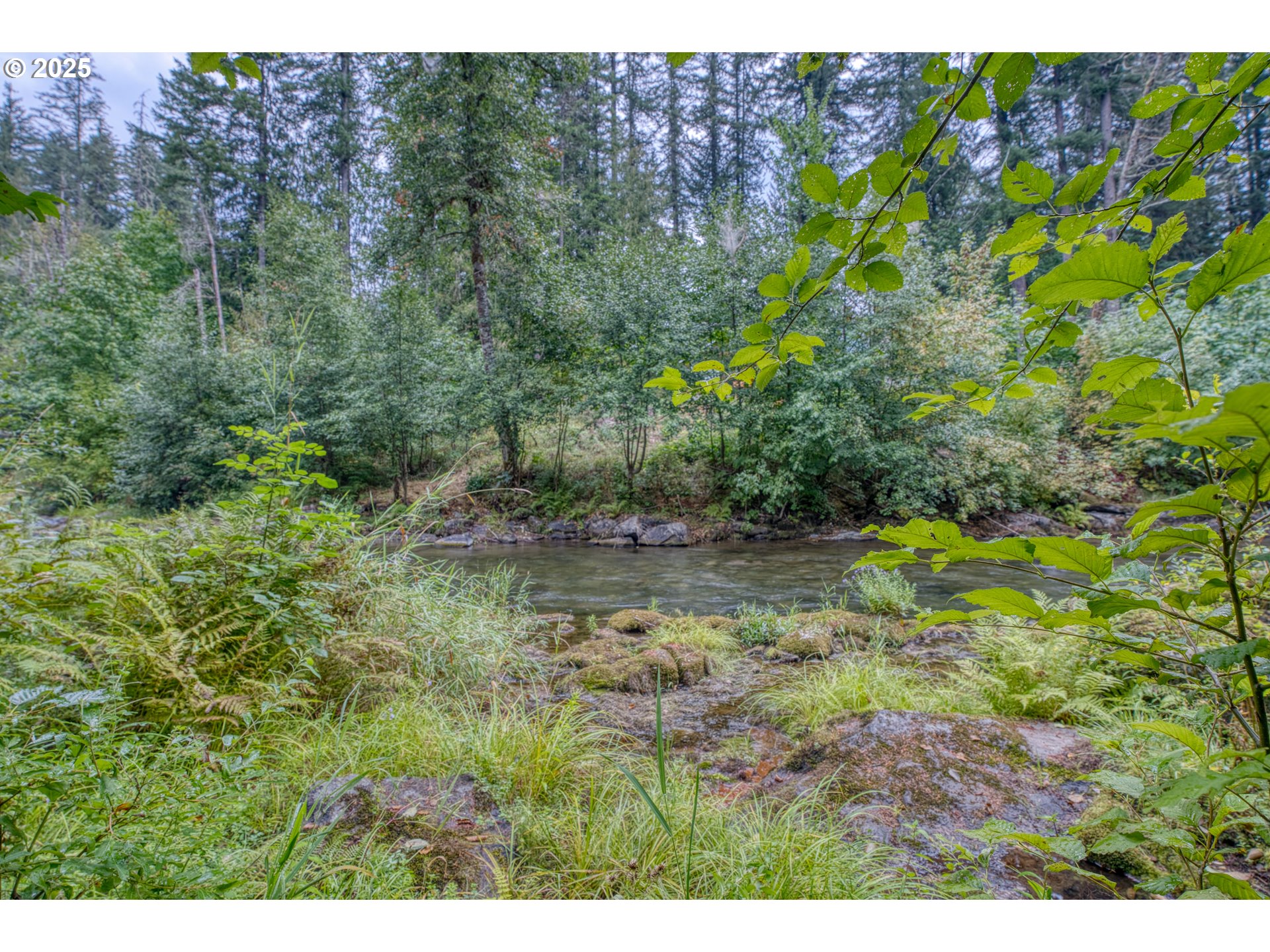 202 Edgewater Drive Carson, WA 98610 - Photo 35 of 48