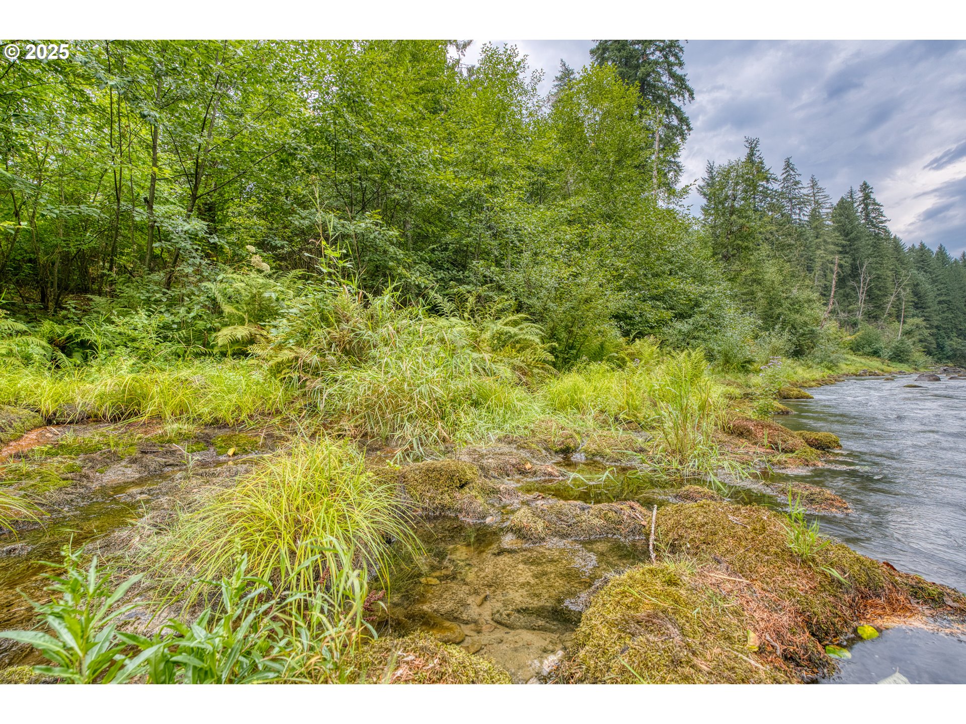 202 Edgewater Drive Carson, WA 98610 - Photo 36 of 48