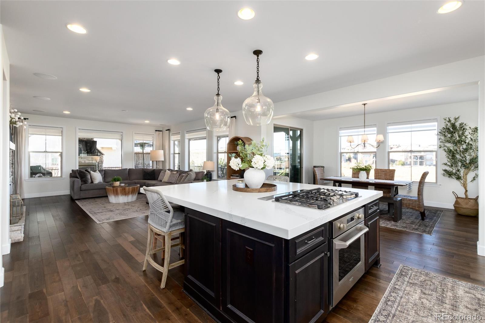 10849 Greycliffe Drive Highlands Ranch, CO 80126 - Photo 10 of 50