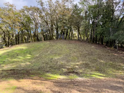 a view of outdoor space with trees