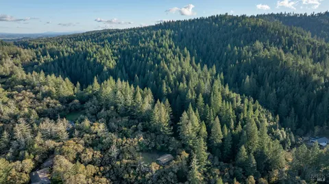 a view of a green field