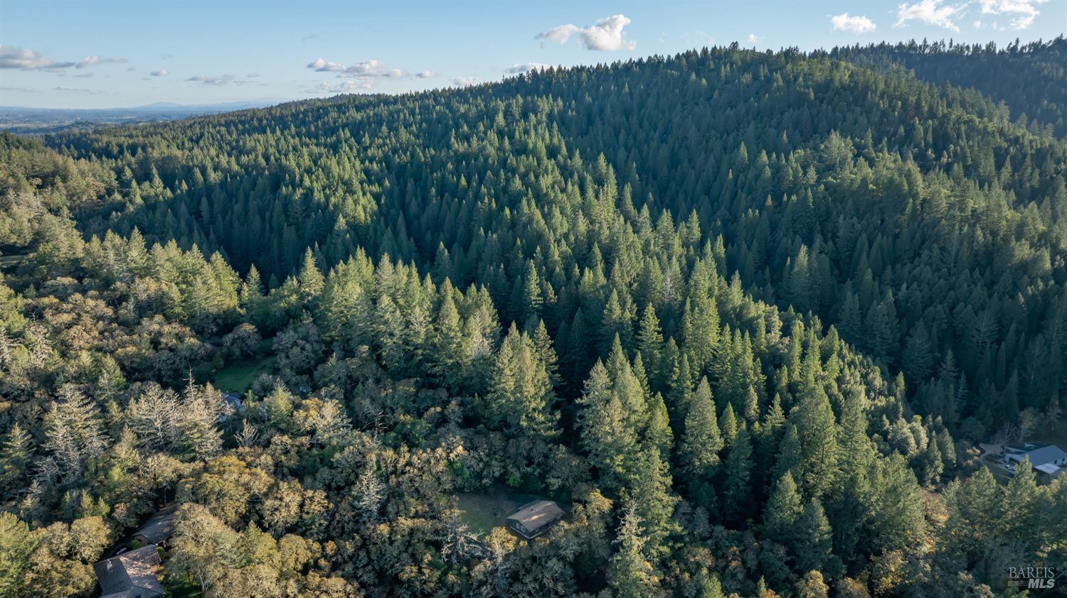 3100 Mill Creek Road Healdsburg, CA 95448 - Photo 40 of 41 a view of a green field