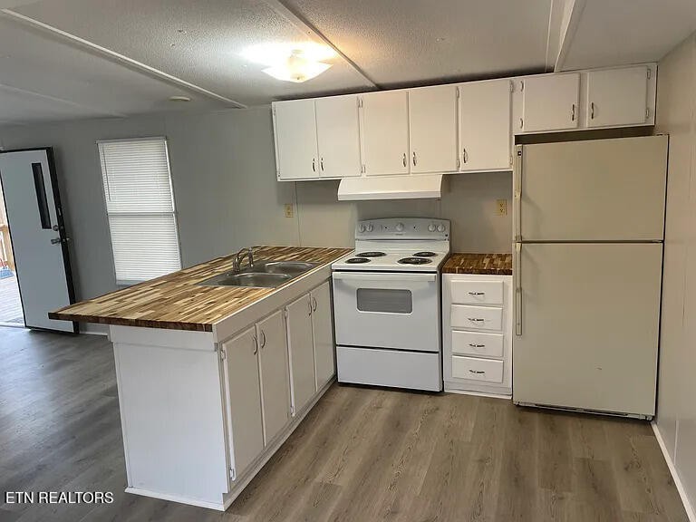 1399 Whites Creek Road Spring City, TN 37381 - Photo 6 of 8 a kitchen with granite countertop cabinets appliances a sink and a counter space