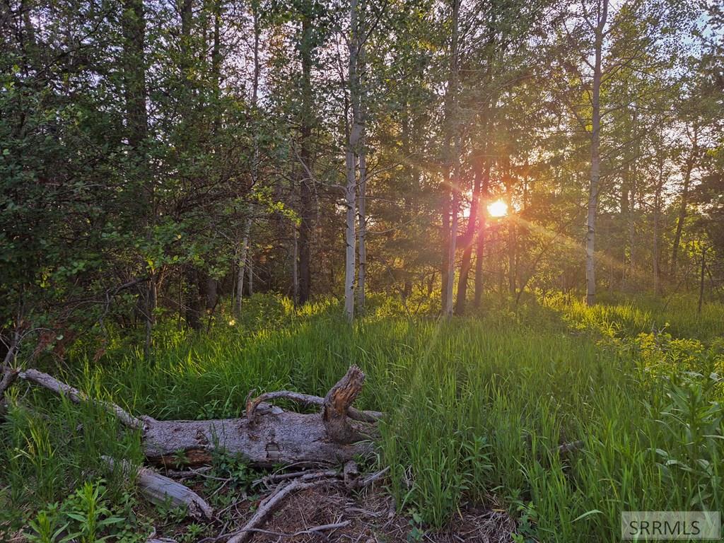 4383 Granite Ridge North Ashton, ID 83420 - Photo 34 of 54