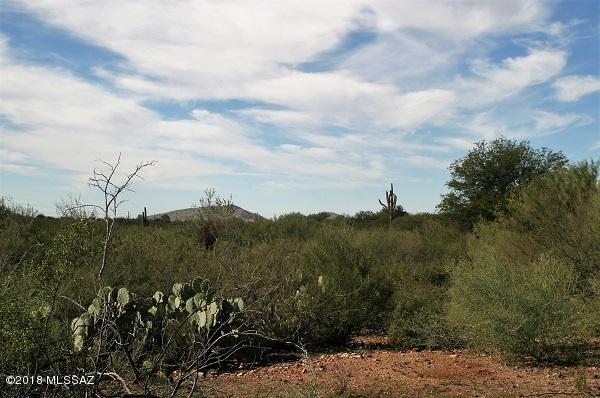 22191 South Branch Road Tucson, AZ 85739 - Photo 19 of 38