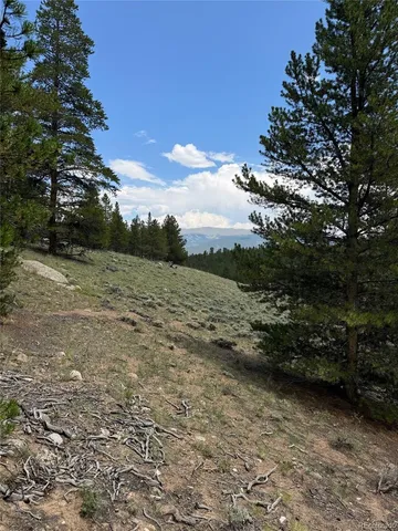 $60,000 | 218 Aspen Drive, Leadville, CO 80461