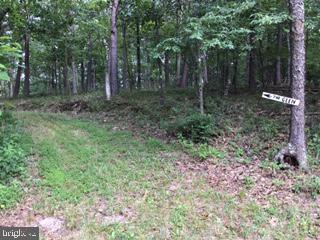 14100 Green Ridge Road Northeast Flintstone, MD 21530 - Photo 14 of 15 Gallery Image 14
