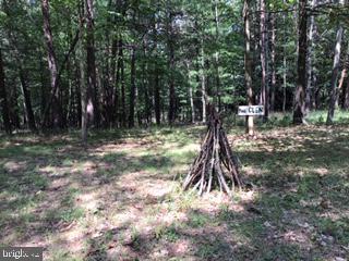 14100 Green Ridge Road Northeast Flintstone, MD 21530 - Photo 15 of 15 Gallery Image 15