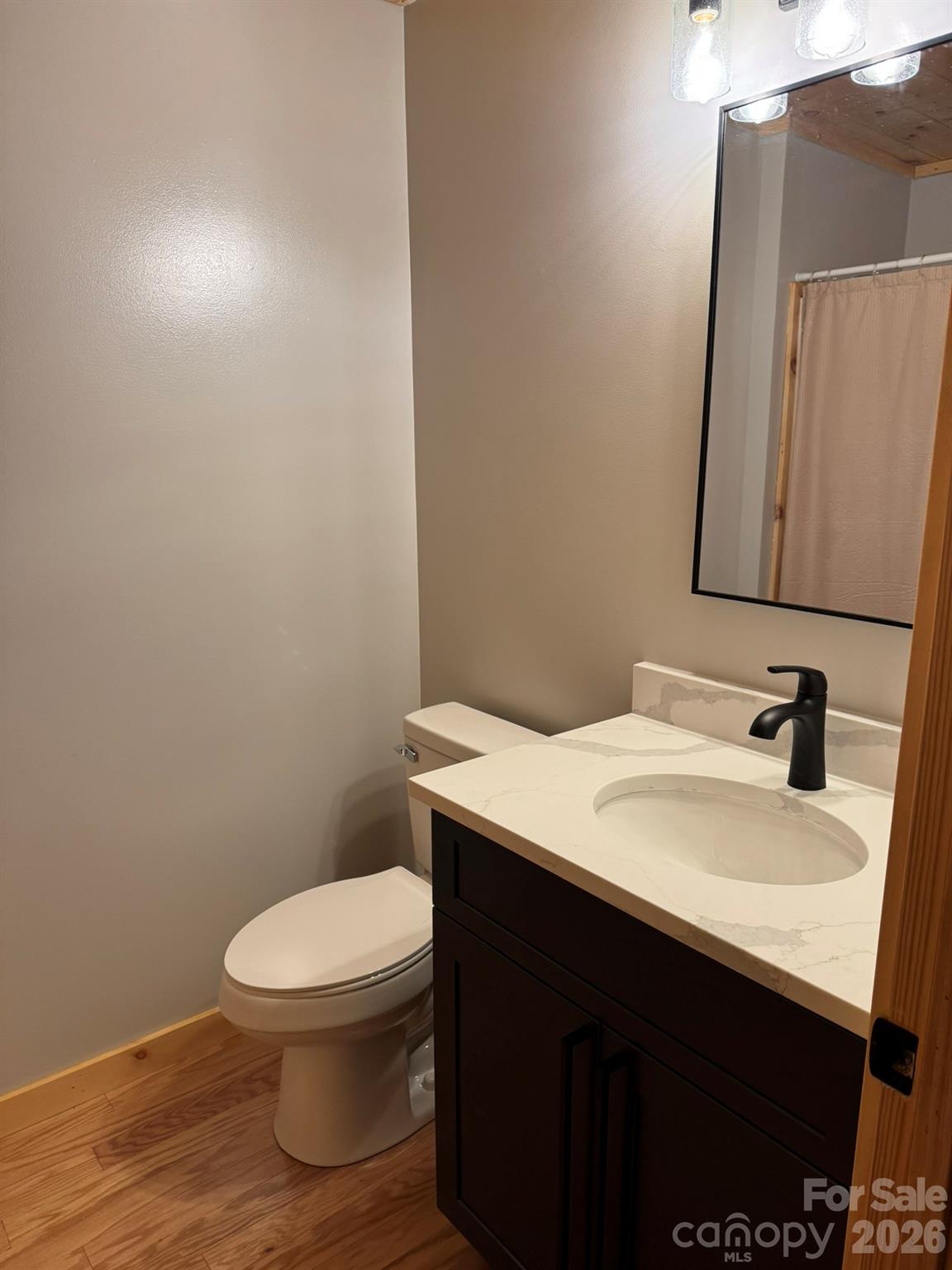 893 Carnes Road Franklin, NC 28734 - Photo 17 of 28 a bathroom with a sink a toilet and mirror