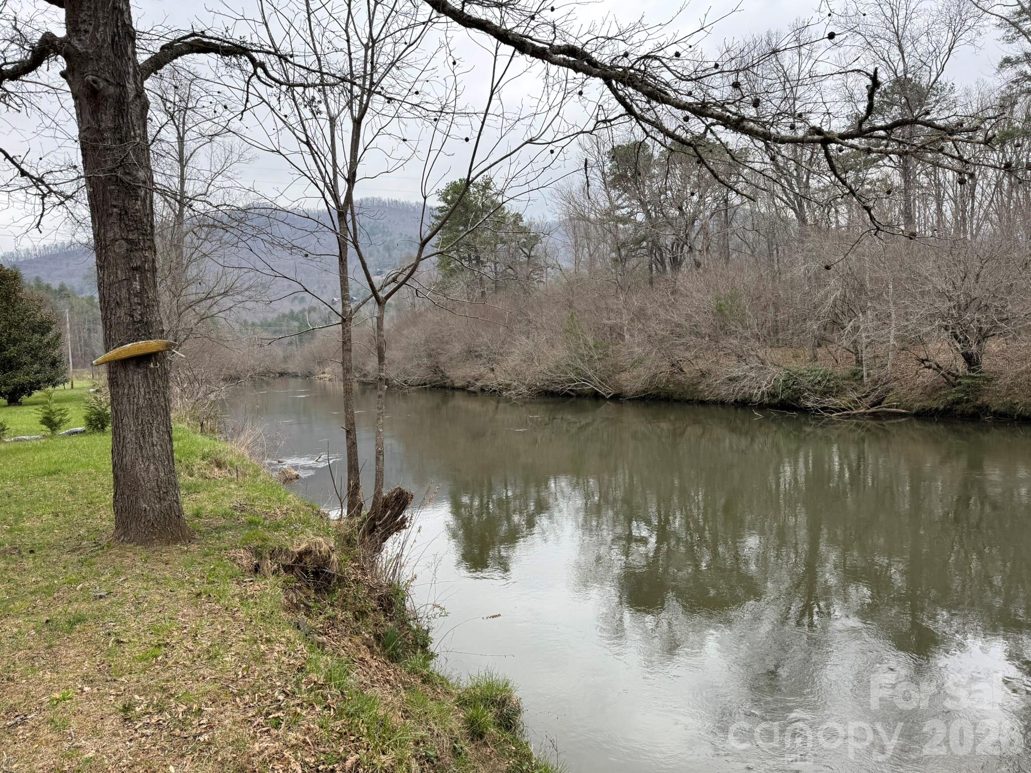 893 Carnes Road Franklin, NC 28734 - Photo 10 of 28 a view of lake from a tree