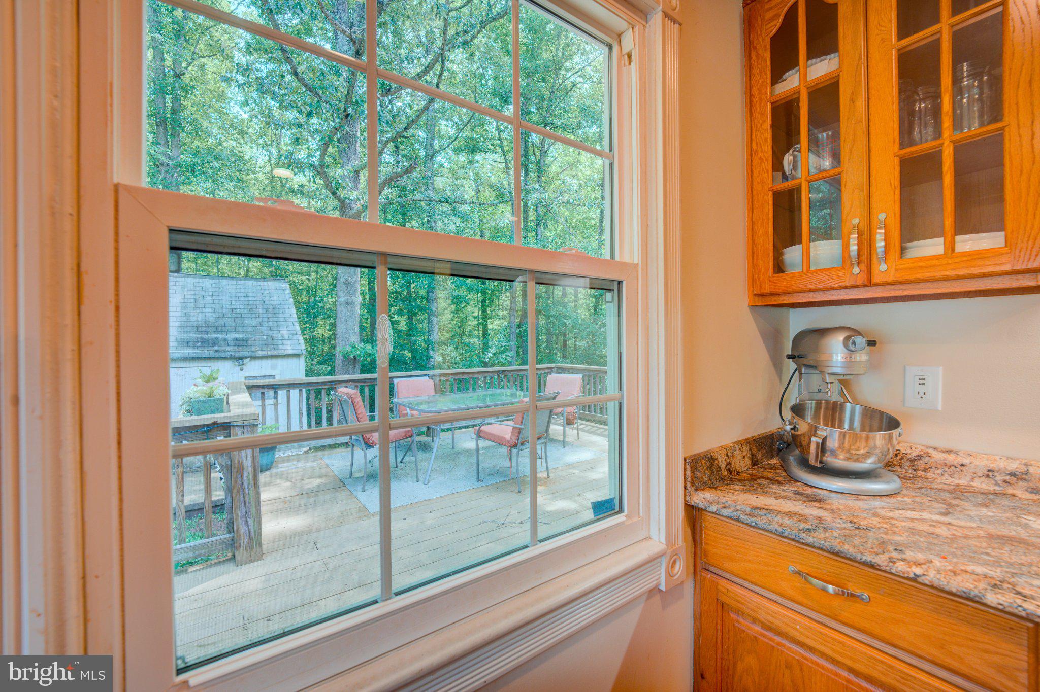 9595 Roys Lane Culpeper, VA 22701 - Photo 12 of 61 Serene kitchen view to nature's retreat.