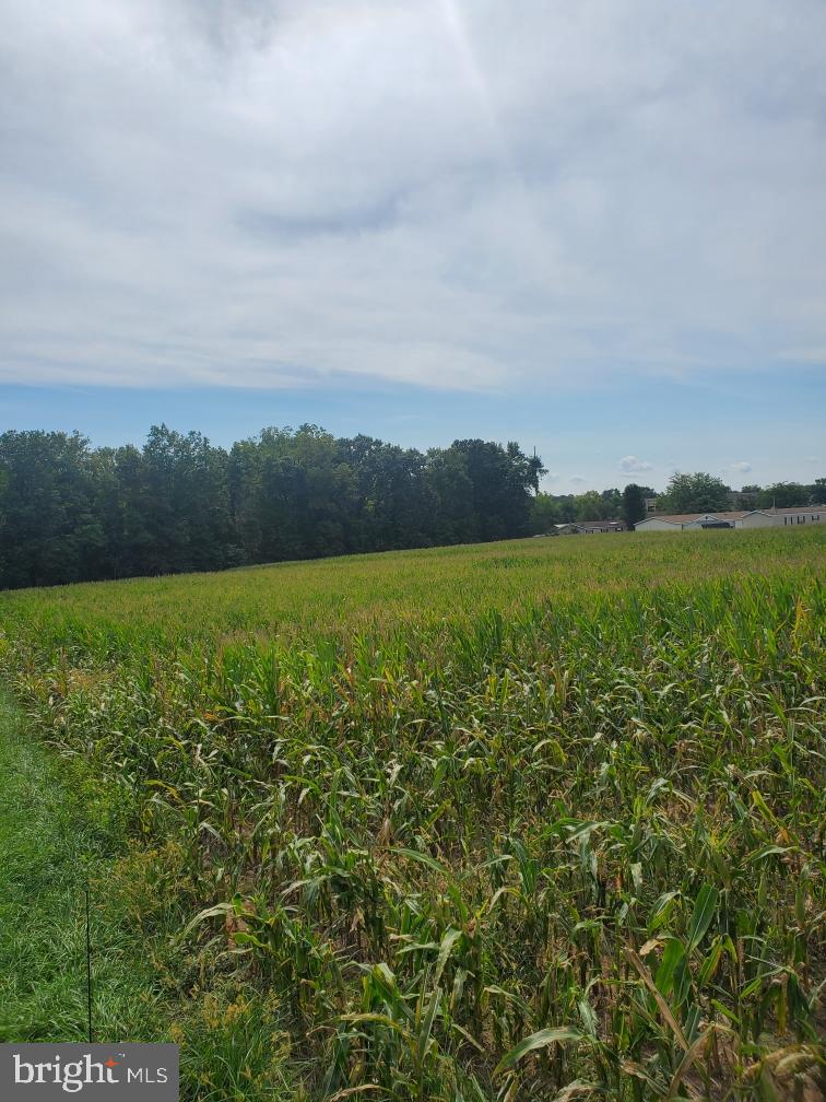 0 Berlin Road New Oxford, PA 17350 - Photo 4 of 6