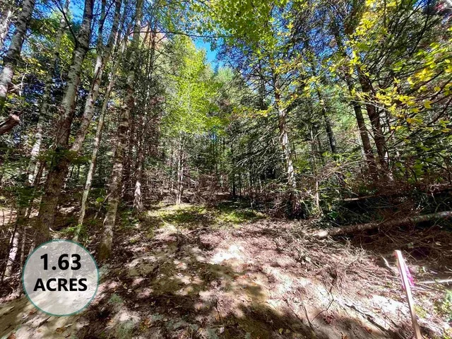 $199,000 | 0 Marshall Newland Road, East Burke, VT 05832