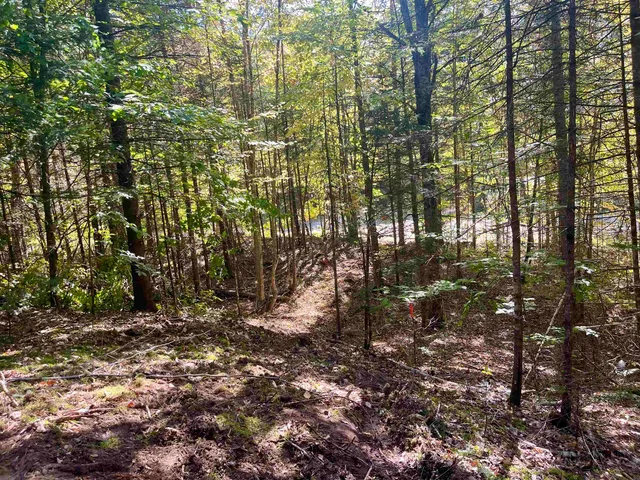 $199,000 | 0 Marshall Newland Road, East Burke, VT 05832