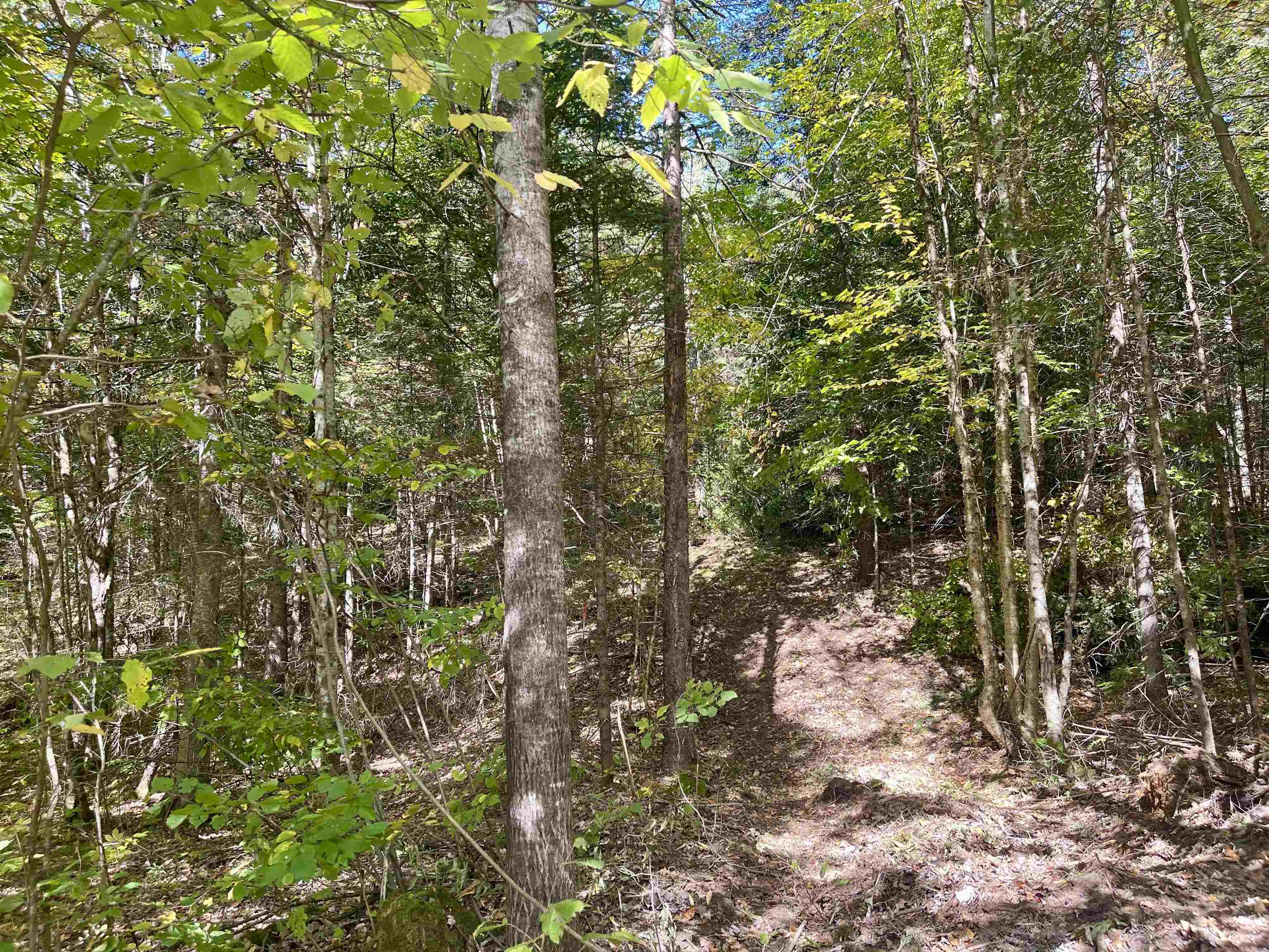 0 Marshall Newland Road East Burke, VT 05832 - Photo 13 of 22