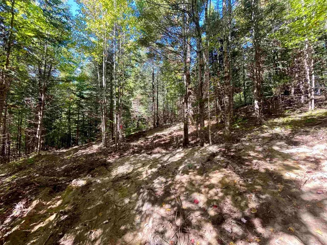 $199,000 | 0 Marshall Newland Road, East Burke, VT 05832