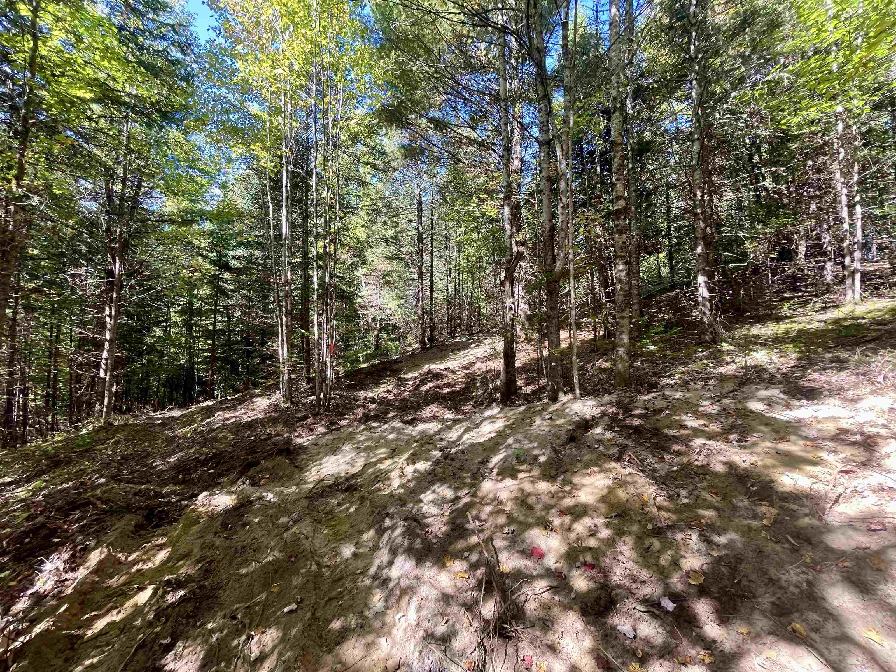 0 Marshall Newland Road East Burke, VT 05832 - Photo 13 of 19