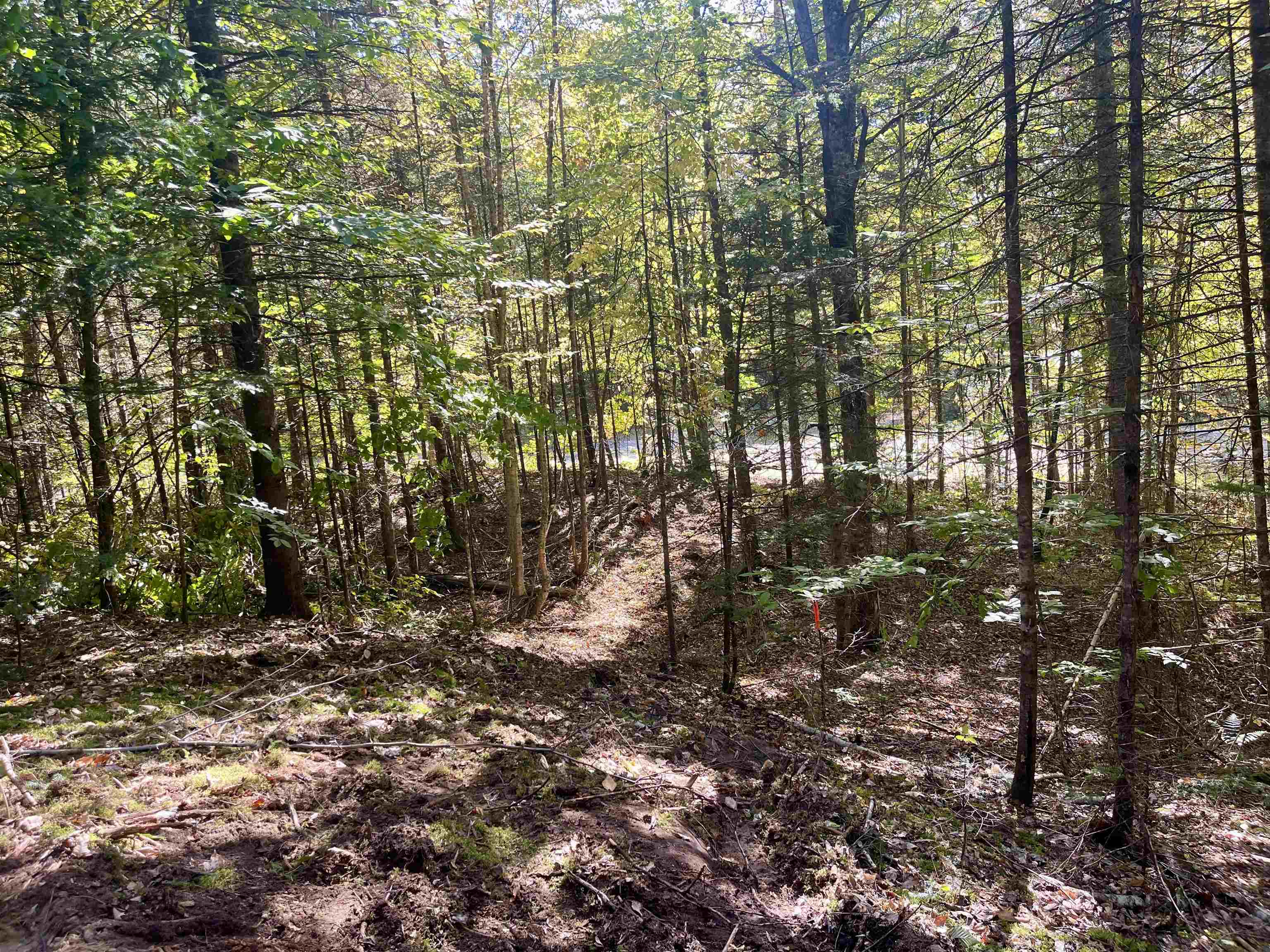 0 Marshall Newland Road East Burke, VT 05832 - Photo 15 of 22