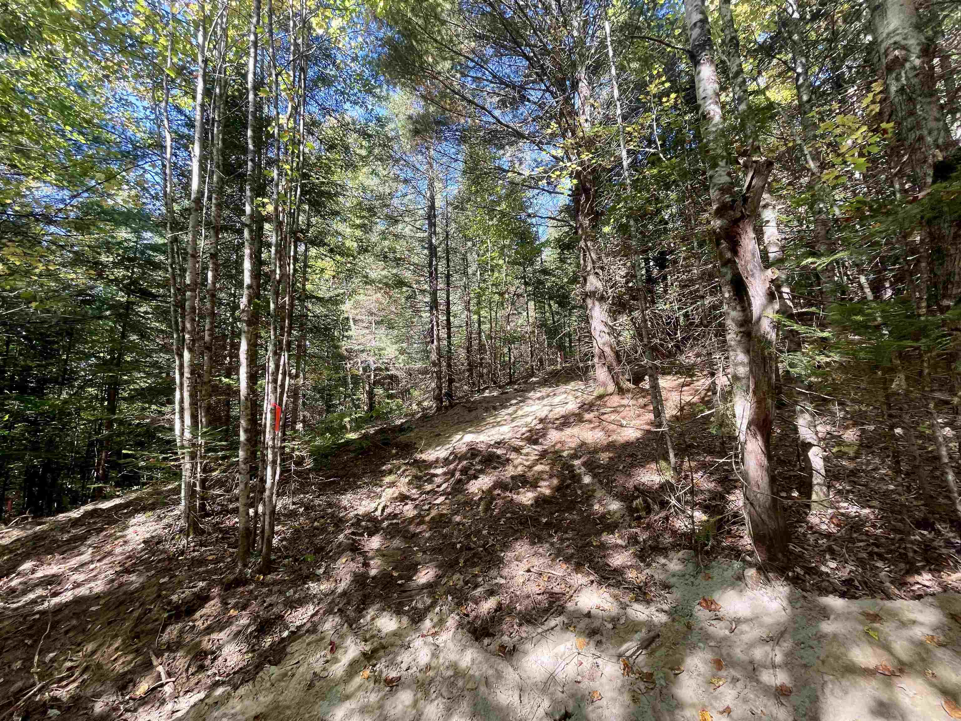 0 Marshall Newland Road East Burke, VT 05832 - Photo 16 of 19