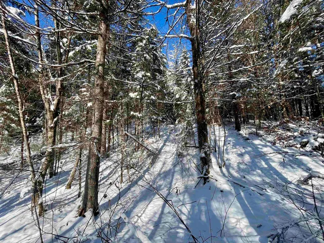 $199,000 | 0 Marshall Newland Road, East Burke, VT 05832