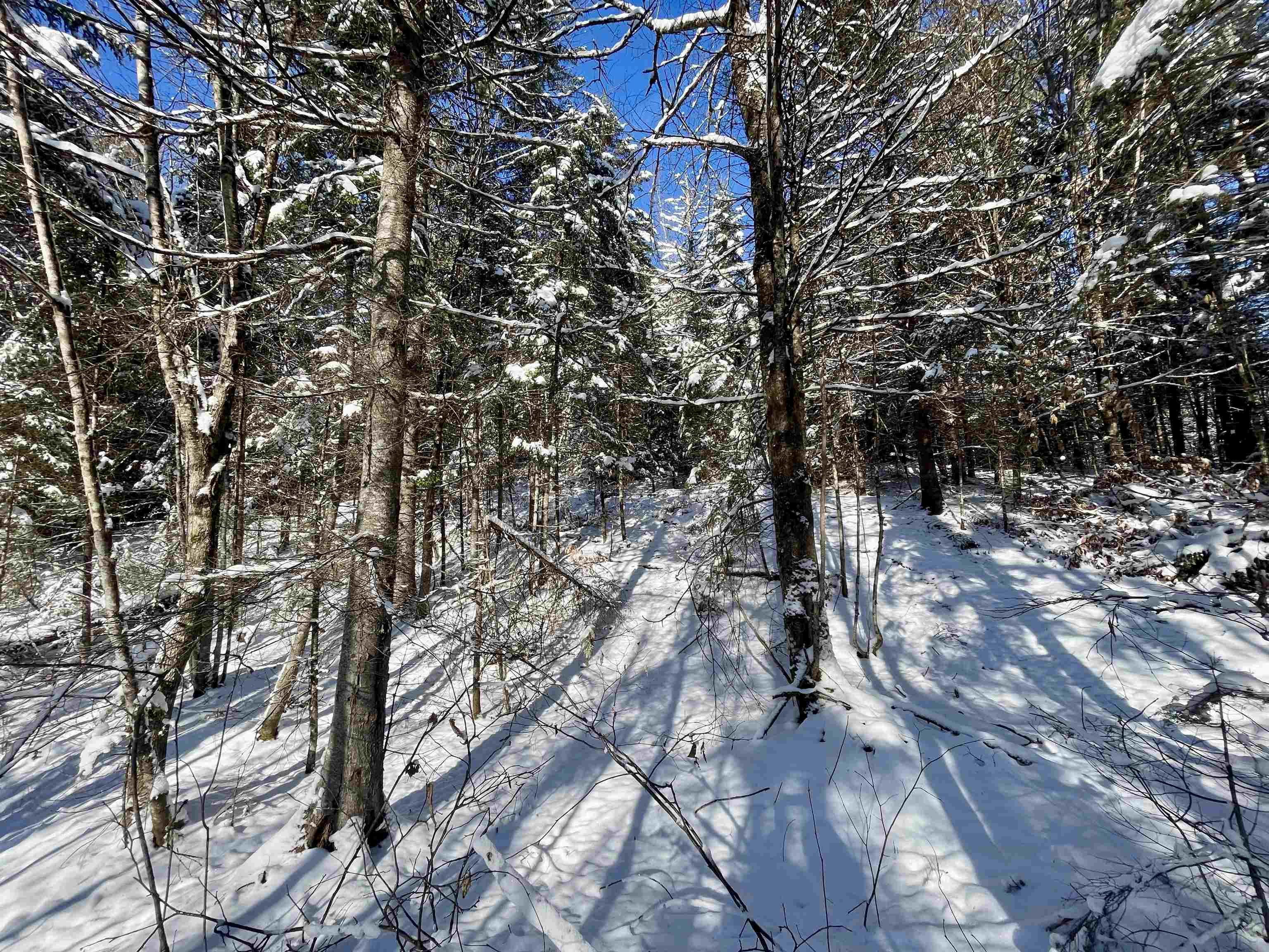 0 Marshall Newland Road East Burke, VT 05832 - Photo 2 of 19