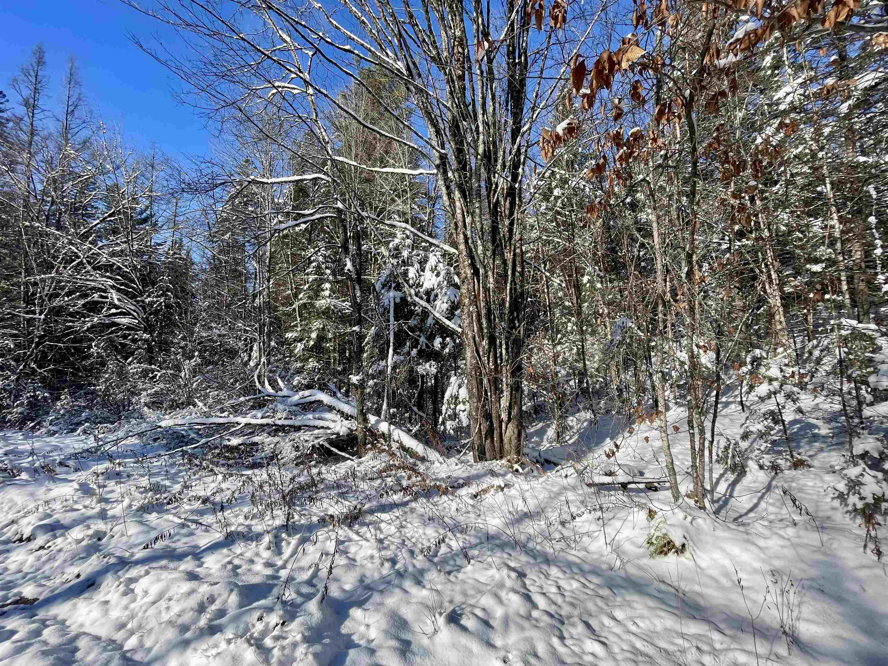 0 Marshall Newland Road East Burke, VT 05832 - Photo 3 of 19