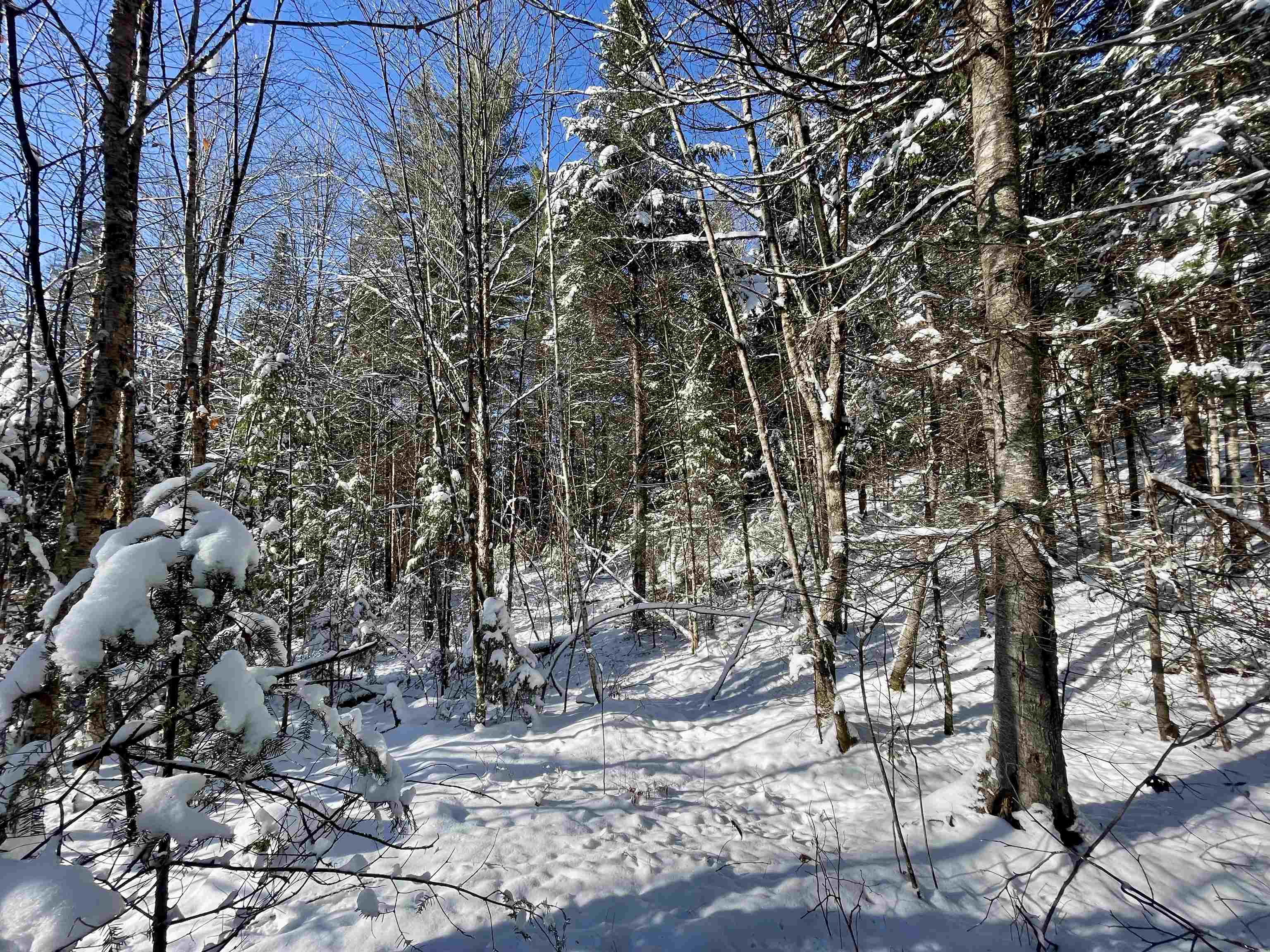 0 Marshall Newland Road East Burke, VT 05832 - Photo 4 of 19