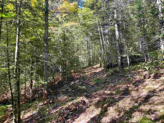 $199,000 | 0 Marshall Newland Road, East Burke, VT 05832